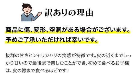 【訳あり】 際まで甘い こだまスイカ　愛娘（２玉）【2026年5月中旬より発送開始】スイカ 西瓜 旬 旬の果実 旬のフルーツ くだもの 果実 フルーツ 夏 小玉スイカ 小玉 果物 美味しい [BC061sa]