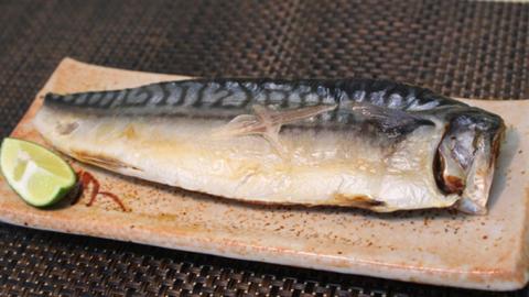 大トロさば文化干し １枚真空 6パック （茨城県共通返礼品 神栖市） サバ さば 海鮮 ギフト お祝い 贈答品 真空包装 化粧箱入り 神栖市地域特産品 [CU001sa]