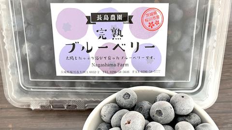 冷凍 ブルーベリー 800g 冷凍ブルーベリー 国産 茨城県産 ベリー 冷凍果実 フルーツ 果物 くだもの 自家製栽培 [AK005sa]