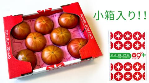 《 2026年収穫分 先行予約 》 糖度9度以上 スーパーフルーツトマト 小箱 約800g × 1箱  (7～13玉/1箱) フルーツトマト ブランドトマト 野菜 ギフト 贈答 [BC068sa]