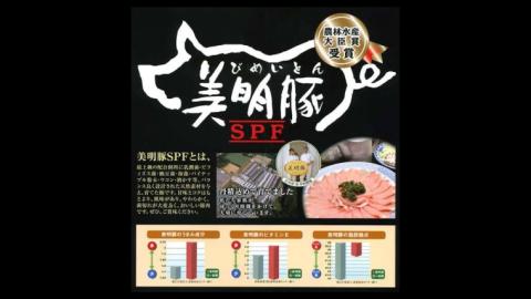 美明豚 ロース 山賊焼 150g×5枚【茨城県共通返礼品 行方市】 国産 銘柄 お手頃 総菜 グルメ 料理 茨城県 [CV007sa]