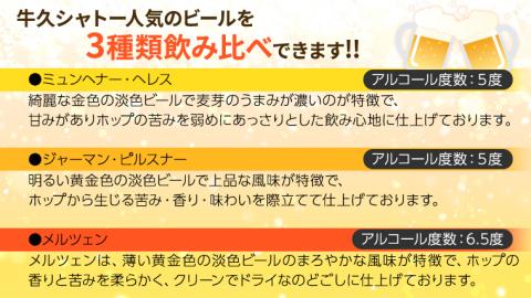 【お中元 熨斗付き】 【令和5年7月から発送開始】 牛久シャトー ビール 3種類 6本セット（茨城県共通返礼品 牛久市） クラフトビール 瓶 お酒 酒 ギフト 贈答 お中元 御中元 [BX002sa]