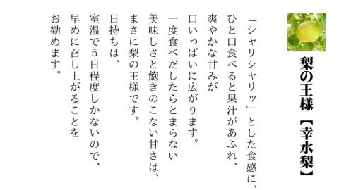 【 先行予約 】茨城県産 幸水 梨5kg 10玉～14玉入り  (茨城県共通返礼品 ／下妻市）( 2024年7月上旬発送開始 )  梨 数量限定 なし ナシ フルーツ 果物 旬 産 [DF001sa]