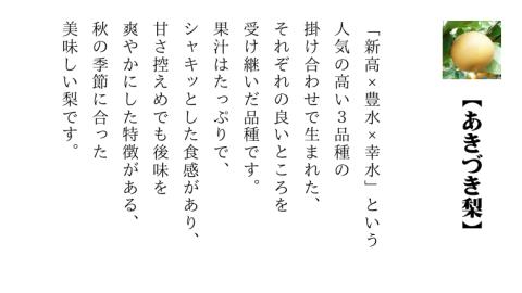 【 先行予約 】 茨城県産 あきづき 梨 5kg 8玉～12玉入り  (茨城県共通返礼品／下妻市）  ( 2024年8月上旬発送開始 )  梨 数量限定 なし ナシ フルーツ 果物 [DF003sa]