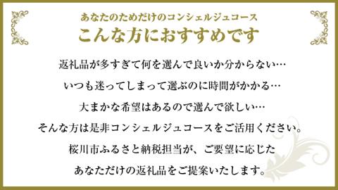 【 茨城県桜川市 コンシェルジュ】 返礼品おまかせ！ 寄附額 300万円 コース オーダーメイド サービス ピックアップ 高額 代行 お好み セット 詰め合わせ [BR018sa]
