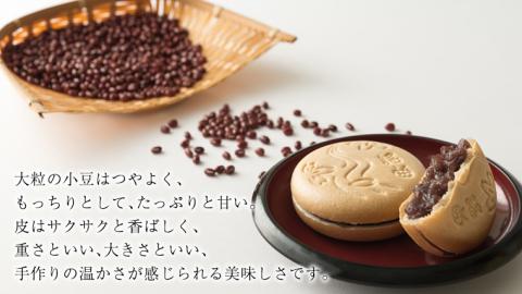 桜川謡曲もなか10個入り 全国菓子大博覧会 「名誉大賞」受賞 和菓子 あんこ もなか [AA003sa]