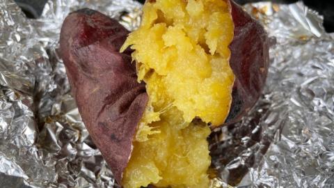 2025年度産 紅はるか 約5kg 【茨城県共通返礼品／行方市】渋谷農園 さつまいも いも 芋 焼芋 [DT001sa]