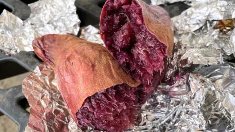 ふくむらさき 約10kg (茨城県共通返礼品／行方市) 2025年11月から発送開始 渋谷農園 さつまいも いも 芋 焼き芋 [DT004sa]