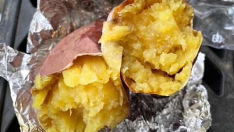 ひめあやか 約10kg (茨城県共通返礼品／行方市) 2025年11月から発送開始 渋谷農園 さつまいも いも 芋 焼き芋 [DT008sa]