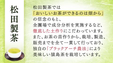 水出し茶 ティーバッグ 5種 詰め合わせ 【茨城県共通返礼品／八千代町】 お徳用 さしま茶 水出し ほうじ茶  玄米茶  和紅茶 松田製茶 [DV004sa]