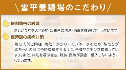 雪平養鶏場 桜川育ちの 新鮮 たまご 合計30個（20個＋10個割れ補償付) 数量限定 卵 [SC032sa]