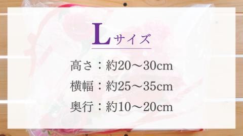壁掛けシャボンフラワーL フラワーギフト 贈り物 ギフト 誕生日 プレゼント 石鹸素材 枯れないお花 [DP008sa]