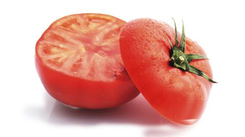 《 2026年収穫分 先行予約 》 糖度9度以上 超大玉 スーパーフルーツトマト 大箱 約2.8kg × 1箱 (14～18玉/1箱) フルーツトマト ブランドトマト 野菜 ギフト 贈答 [BC011sa]