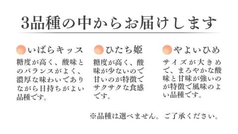 【 2026年 先行予約 】3種 食べ比べセット（2パック×1箱)（茨城県共通返礼品／常陸太田市） 2026年1月上旬発送開始 フルーツ 苺 イチゴ いちご 新鮮 朝採れ 茨城県 桧山FRUITFARM [DY004sa]
