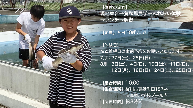 【夏だ!! チョウザメ と プール で遊ぼう】 親子 で ふれあい体験 チケット （チョウザメ漬丼 ランチ 付き）大人1名 小人1名 レジャー アクティビティ 動物ふれあい 夏休み 体験チケット チケット [AI016sa]