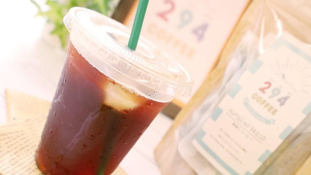 水出し コーヒー FUTUU NO REICO 3袋 合計9パック (30g × 3パック ) アイスコーヒー 珈琲 水出し 水出し珈琲パック 294ROASTERS ふるさと納税 [AU003sa]