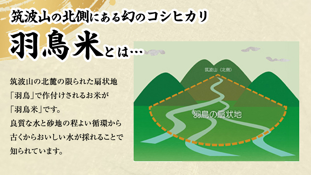 《全3回 定期便》《 令和7年産 先行予約 》 コシヒカリ 「幻の米 羽鳥米」 計 9kg (3kg × 3回)  筑波北麓秘蔵米 お米 ごはん 精米 コメ 白米 国産 茨城県 桜川市 限定 期間限定 数量限定 銘柄米[AX013sa]