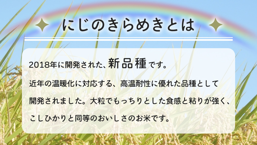 令和7年産 にじのきらめき 15kg ( 5kg × 3袋 ) お米 ごはん 精米 コメ 白米 国産 茨城県 桜川市 銘柄米 [AX017sa]