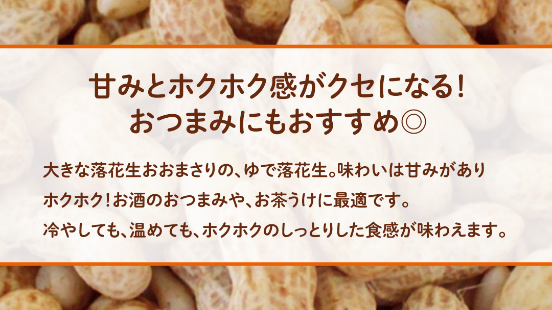 おおまさり ゆで落花生 合計340g (170g×2袋) 【2025年10月中旬から発送開始】 簡易包装 ポスト投函 ご自宅用 ピーナッツ 落花生 おつまみ おやつ お菓子 ナッツ [BB012sa]