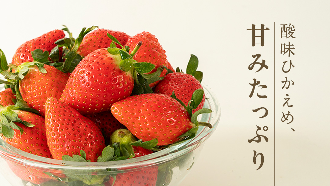 【 2026年1月上旬発送開始 】 完熟 やよいひめ 260g×4パック 国産 いちご イチゴ 苺 果物 フルーツ 茨城県産 [BC007sa]