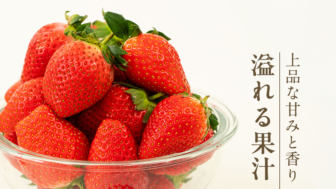 【 2026年1月上旬発送開始 】 完熟 かおり野 260g×2P 国産 いちご イチゴ 苺 果物 フルーツ 茨城県産 KEK 果物 フルーツ [BC024sa]