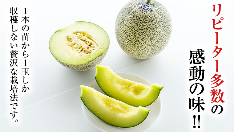 【2025年8月下旬発送開始】 季節 限定 ！ 甘さ満点 アールス メロン 3玉 入箱 果物 フルーツ 農家直送 産直 青肉メロン 特産品 マスクメロン メロン くだもの 茨城 [BC044sa]