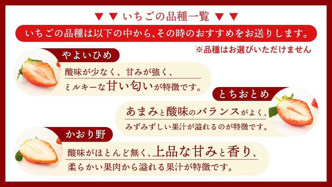 【2ヵ月 定期便】 完熟 いちご 4パック × 2回 合計 8パック （1P約260g） 国産 イチゴ 苺 果物 くだもの フルーツ かおり野 とちおとめ やよいひめ 茨城県産 KEK [BC074sa]