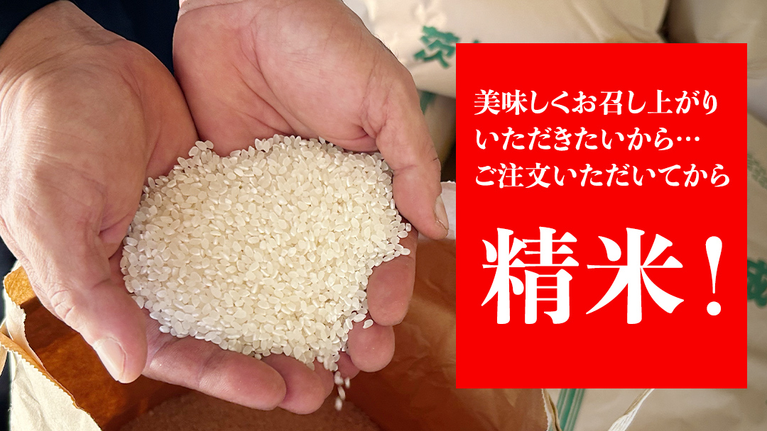 【令和7年】茨城県産 コシヒカリ 5kg 令和7年産 新米 単一原料米 精米 米 お米 コメ 白米 こしひかり 茨城県 [BC084sa]