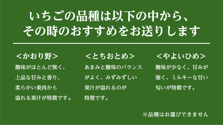 【12/17までの申込で年内にお届け！】 完熟いちご 約260g×4パック 品種おまかせ 年内お届け 国産 いちご イチゴ 苺 [BC090sa]