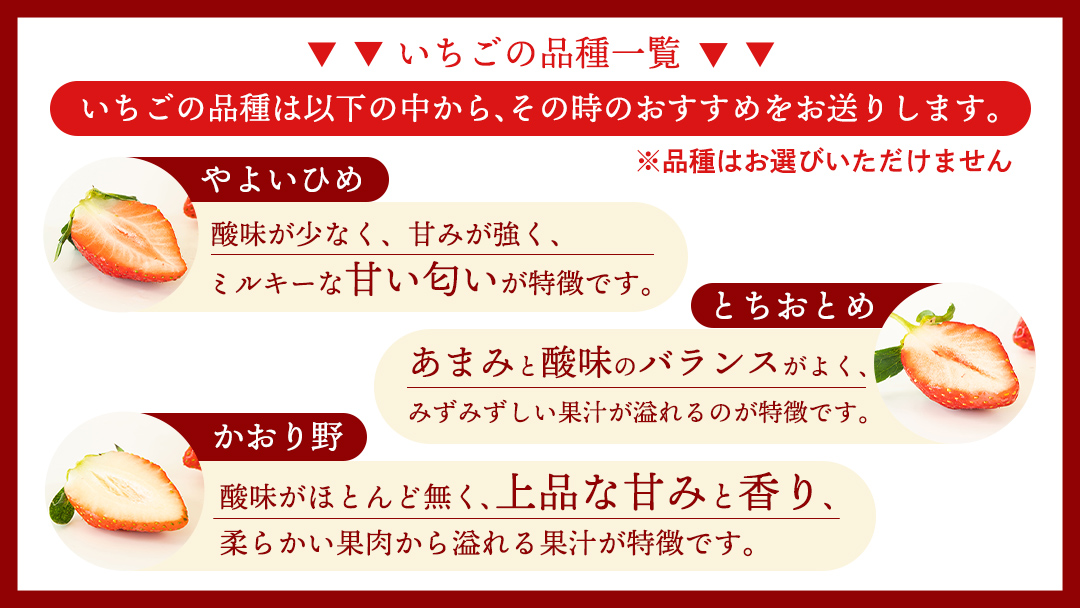 【2ヵ月連続】 採れたて完熟いちご 定期便（260g×2パック×2回／12月・1月お届け） かおり野 とちおとめ やよいひめ 国産 イチゴ 苺 [BC092sa]