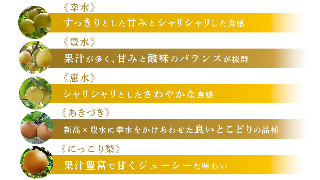 にっこり梨 約 5kg （6～10玉） 2026年産 先行予約 梨 果物 フルーツ なし ナシ にっこり くだもの デザート 茨城 [BQ023sa]