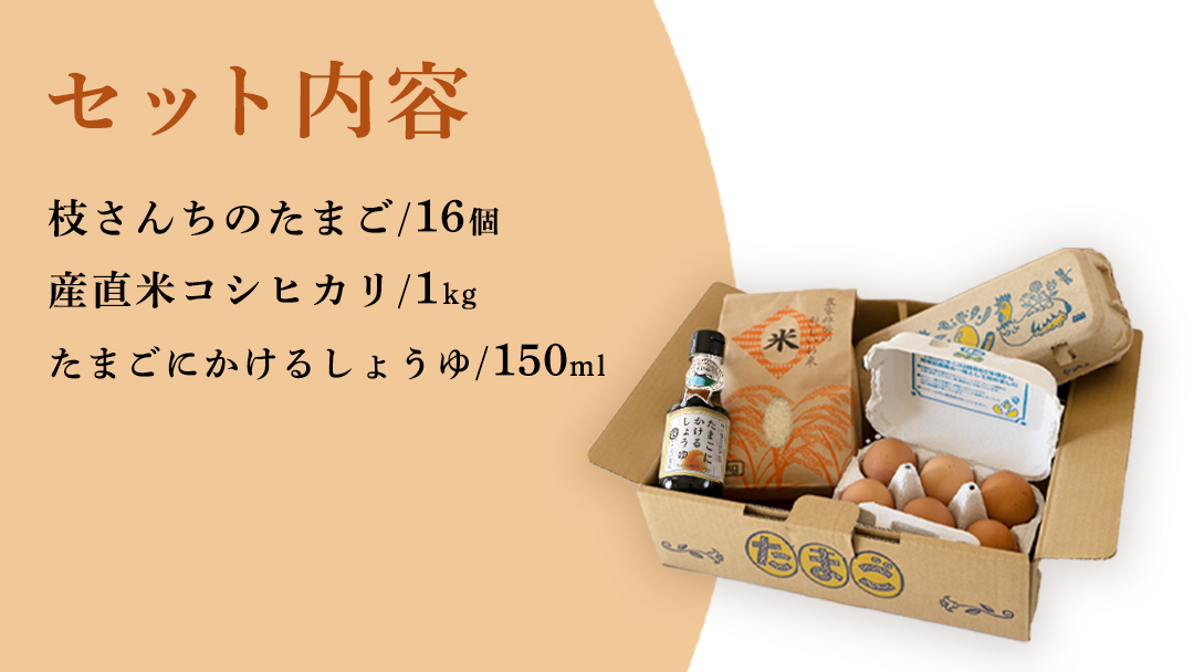 たまごかけご飯セット 卵 玉子 たまご 生卵 鶏卵 タマゴ しょうゆ 醤油 米 コシヒカリ 白米 精米 産地直送 平飼い お取り寄せ 詰め合わせ TKG 卵かけごはん 新生活 一人暮らし 桜川市産 茨城県産 [BT002sa]