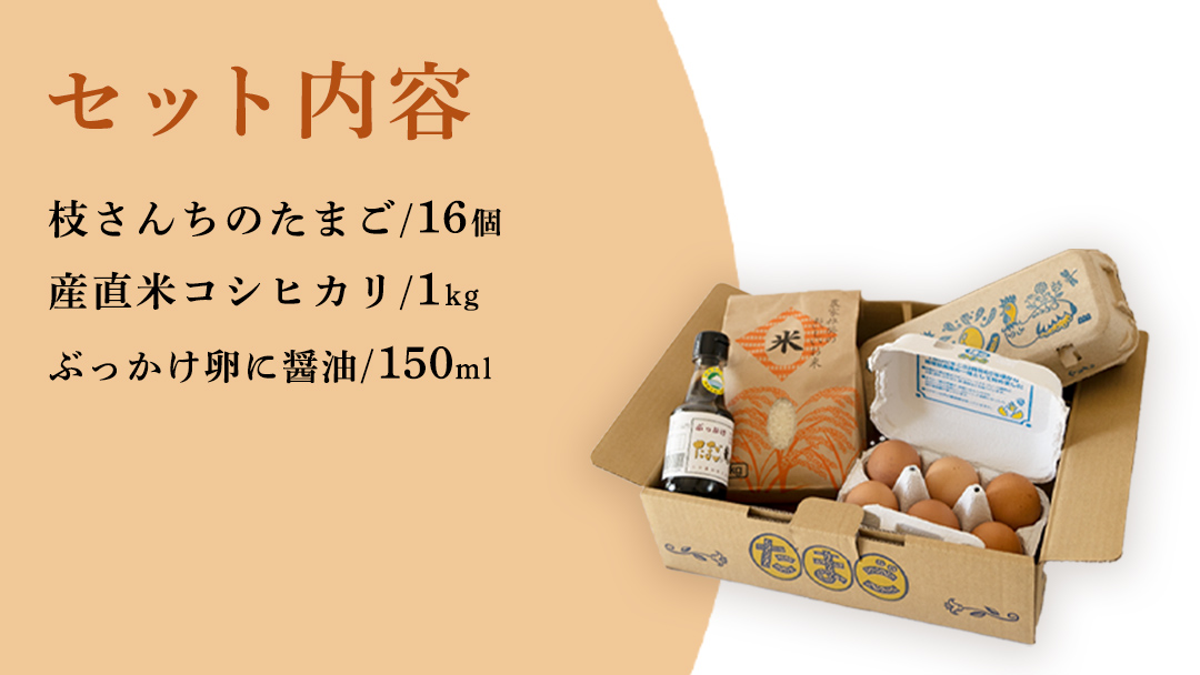 卵 玉子 たまご 生卵 鶏卵 タマゴ しょうゆ 醤油 米 コシヒカリ 白米 精米 産地直送 平飼い お取り寄せ 詰め合わせ TKG 卵かけごはん 新生活 一人暮らし 桜川市産 茨城県産 [BT003sa]