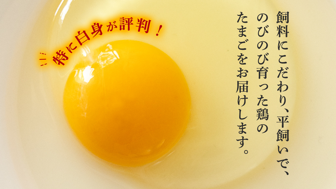 【3ヶ月定期便】枝さんち の たまご 20個×3回 合計60個 定期便 産地直送 たまご 玉子 生卵 鶏卵 タマゴ 平飼い 桜川市産 茨城県産 卵 非遺伝子組換え [BT004sa]