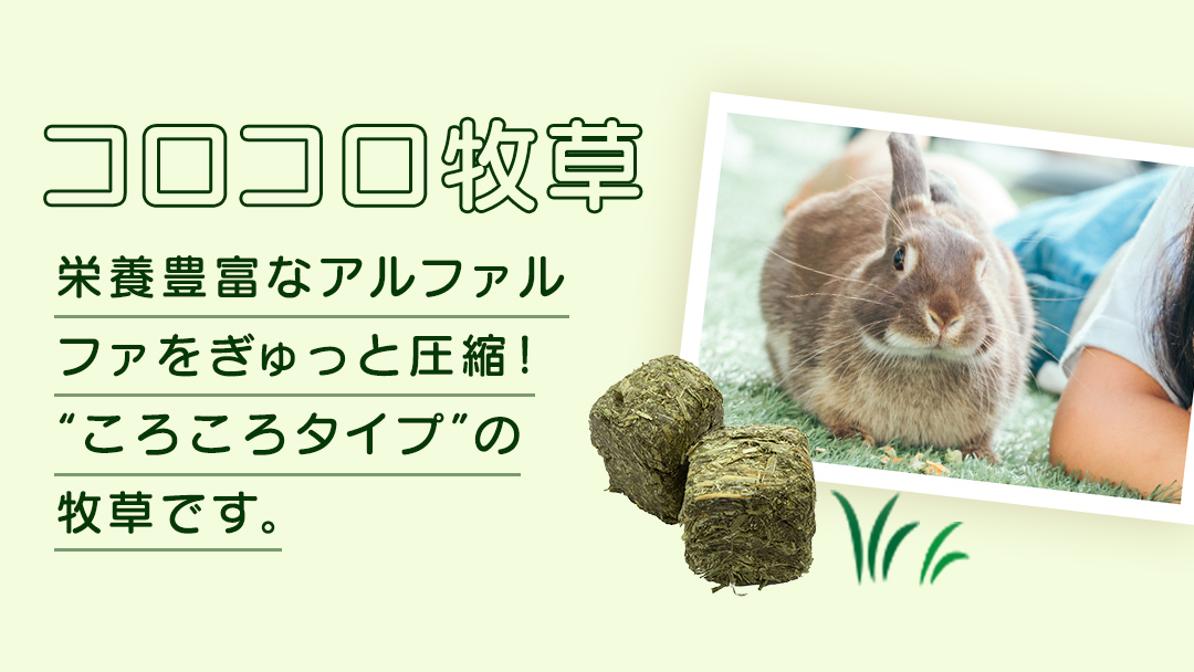 アニマルファーム コロコロ牧草 240g × 6袋 小動物用フード ペットフード 食物繊維 アルファルファ 非常食 牧草 [BU026sa]