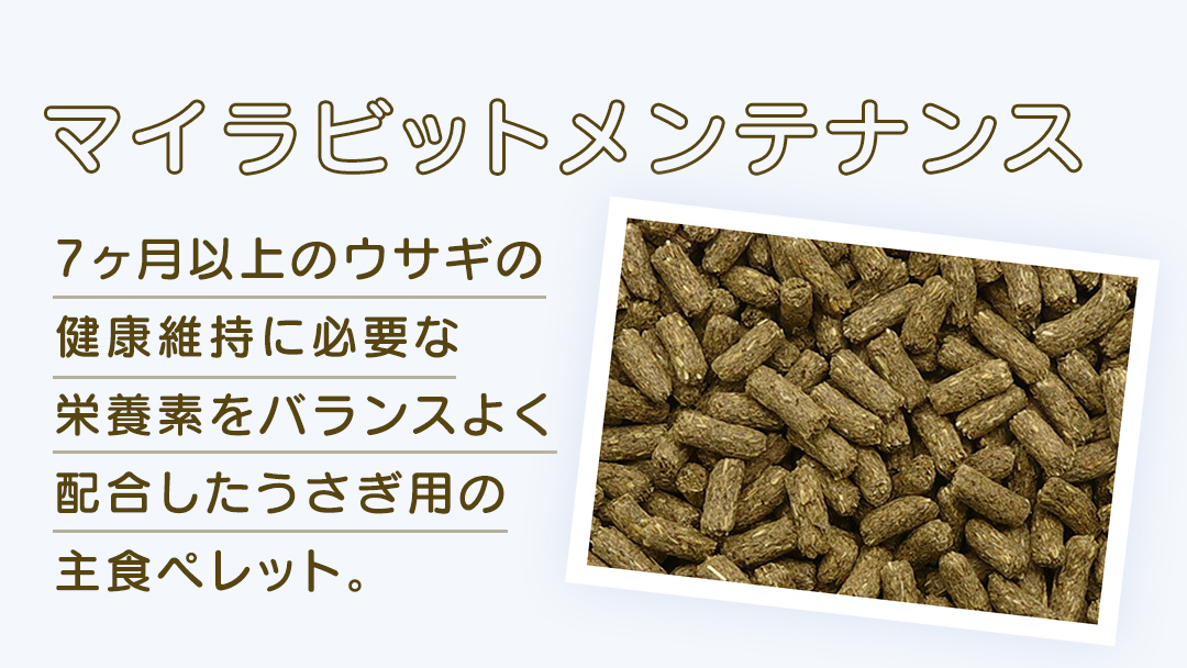 デイリープレミアム マイラビット 《メンテナンス》 810g × 2袋 うさぎ 小動物用フード ペットフード タンポポ オオバコ 桑の葉  乳酸菌配合 [BU038sa]