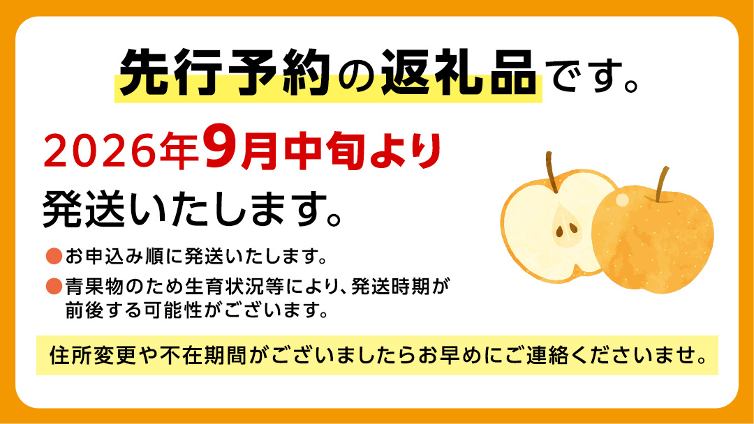 恵水梨 約3kg 4玉～6玉 (茨城県共通返礼品:城里町) 2026年 梨 なし 和梨 フルーツ 甘い オリジナル 大玉 直送 茨城 限定 [CO004sa]