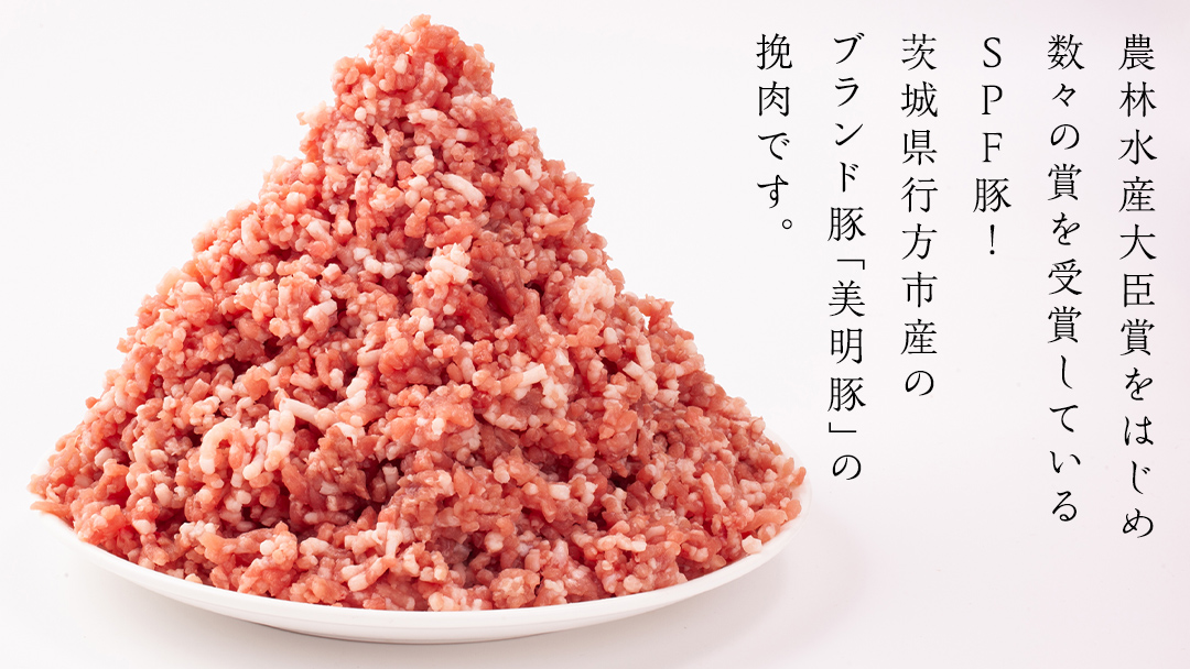 美明豚 挽肉 3kg【茨城県共通返礼品 行方市】 豚肉 国産 銘柄 グルメ 茨城県 料理 ひき肉 ミンチ お肉 肉 豚 ミンチ肉 ブランド豚 冷凍 小分け [CV002sa]