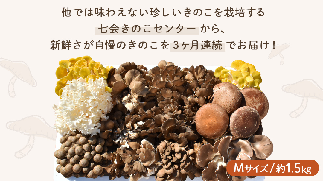 《 ３ヶ月 連続定期便 》 きのこ の 詰め合わせ Mサイズ 約1.5kg （茨城県共通返礼品 城里町） 定期便 キノコ 舞茸 あわび茸 たもぎ茸 しいたけ 花びら茸 セット 鍋 炒め物 [CX006sa]