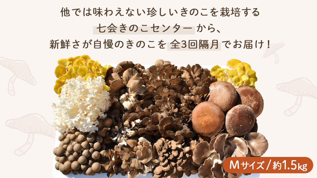 《 全３回 隔月定期便 》 きのこ の 詰め合わせ Mサイズ 約1.5kg （茨城県共通返礼品 城里町） 定期便 キノコ 舞茸 あわび茸 たもぎ茸 しいたけ 花びら茸 セット 鍋 炒め物 [CX009sa]	