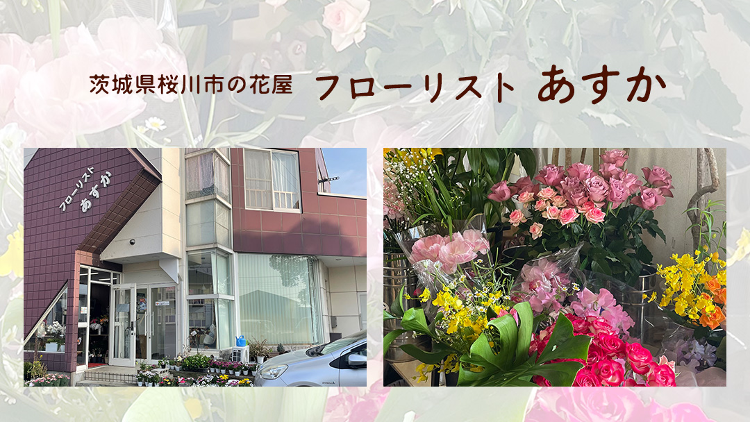 胡蝶蘭 3本立ち 36輪前後 プロが選んでお届け 胡蝶蘭 フラワーギフト お祝い 誕生日 鉢植え 花 贈り物 ギフト 蘭 ラン [CY002sa]