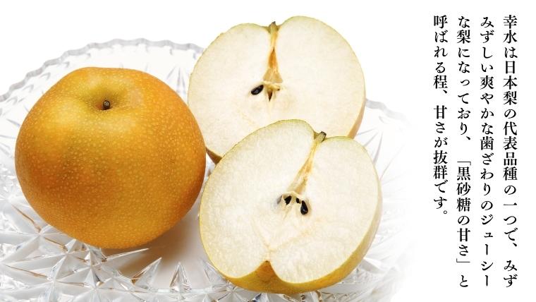 【2025年8月中旬発送開始】 茨城県産 梨 「 幸水 」 約 3kg 6玉 ～ 9玉 【茨城県共通返礼品／常陸太田市】 桧山果樹園 [DU001sa]