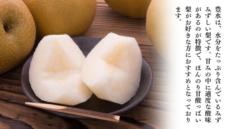 【2025年8月下旬発送開始】 茨城県産 梨 「 豊水 」  約 5kg 12玉 ～ 16玉 【茨城県共通返礼品／常陸太田市】 桧山果樹園 [DU004sa]