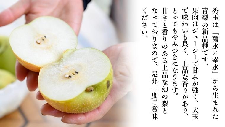 【2026年9月上旬発送開始】 茨城県産 『幻の 梨 』 秀玉 約 5kg 10玉 ～ 16玉 【茨城県共通返礼品／常陸太田市】 桧山果樹園 [DU006sa]