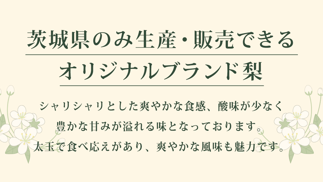 【2026年9月上旬発送開始】 茨城県 オリジナル 幻の 高級梨 『 恵水 』 約 5kg 7玉 ～ 12玉 【茨城県共通返礼品／常陸太田市】 桧山果樹園 [DU008sa]