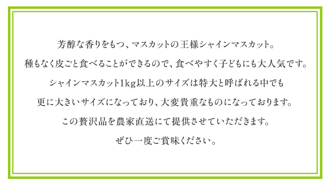 【2026年9月中旬発送開始】 極上 プレミアム シャインマスカット １房 ( １房 1kg 以上) 数量限定 【茨城県共通返礼品／常陸太田市】先行予約 マスカット 特大 贈答用 ギフト プレゼント フルーツ くだもの 果物  果実 ぶどう ブドウ 葡萄 茨城県[DU022sa]