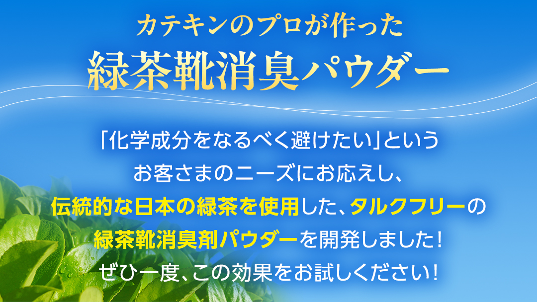 シューパウダー 1本 緑茶 靴 シューズ 消臭 [DV011sa]