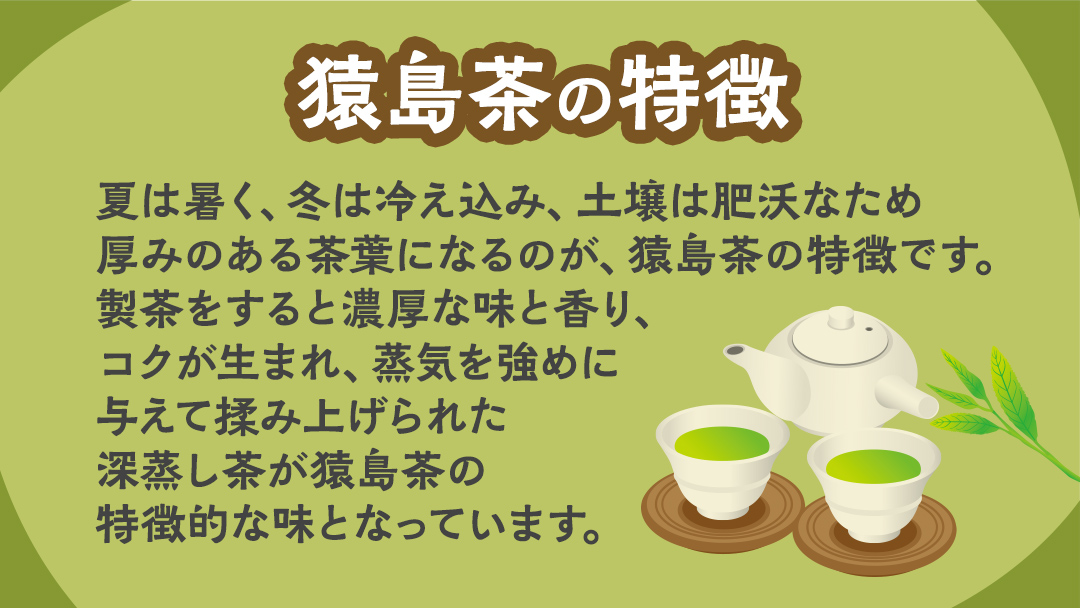 あーちくん の 緑茶 フィにゃんシェ 8個 フィナンシェ 松田製茶 オリーブオイル 洋菓子 しっとり スイーツ 御菓子 お菓子 おやつ  [DV016sa]