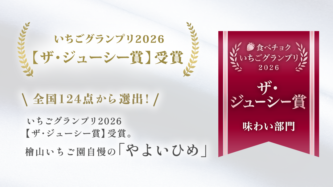やよいひめ (2パック)　特大・デラックスサイズ（茨城県共通返礼品／常陸太田市） 2026年1月上旬発送開始 大粒 フルーツ 苺 イチゴ いちご 新鮮 朝採れ 茨城県 桧山FRUITFARM [DY013sa]