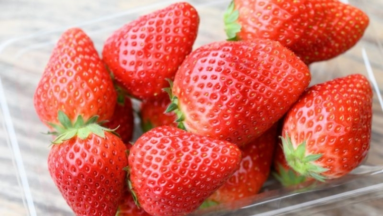 【 2026年 先行予約 】 いばらキッス ( 約300g × 4パック ) 特大 ・ デラックスサイズ （茨城県共通返礼品／常陸太田市） 茨城県品種 2026年1月から発送開始 フルーツ 苺 イチゴ いちご 新鮮 朝採れ 茨城県 桧山FRUITFARM [DY021sa]